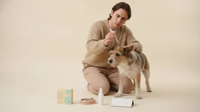 Person kneeling on a pale backdrop parts a terrier mix's fur to apply topical flea treat